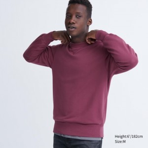 Bluzy Męskie Uniqlo Fioletowe,Uniqlo Polska | W859914
