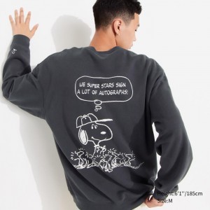 Bluzy Męskie Uniqlo PEANUTS Charlie Brown's Baseball Team Long-Sleeve Ciemny Szare,Uniqlo Polska | Z518742