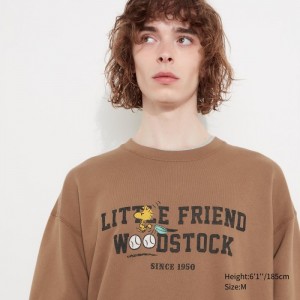 Bluzy Męskie Uniqlo PEANUTS Charlie Brown's Baseball Team Long-Sleeve Brązowe,Uniqlo Polska | S005854