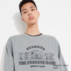 Bluzy Męskie Uniqlo PEANUTS Charlie Brown's Baseball Team Long-Sleeve Szare,Uniqlo Polska | B198654