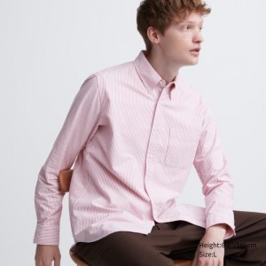 Koszule Codzienne Męskie Uniqlo Oxford Striped Slim-Fit Long-Sleeve Czerwone,Uniqlo Polska | C952210