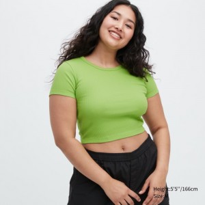 Koszulka Damskie Uniqlo Ribbed Crew Neck Short-Sleeve Cropped Zielone,Uniqlo Polska | K126859