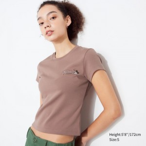 Koszulki Z Grafiką Damskie Uniqlo Collection UT (Short-Sleeve) Brązowe,Uniqlo Polska | P037606