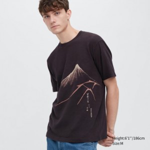 Koszulki Z Grafiką Damskie Uniqlo Ukiyo-e UT (Short-Sleeve) Ciemny Brązowe,Uniqlo Polska | Q511365