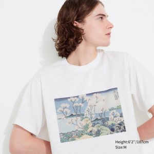 Koszulki Z Grafiką Męskie Uniqlo Hokusai Remixed UT (Short-Sleeve) Białe,Uniqlo Polska | E955824