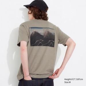 Koszulki Z Grafiką Męskie Uniqlo Hokusai Remixed UT (Short-Sleeve) Beżowe,Uniqlo Polska | Z933578