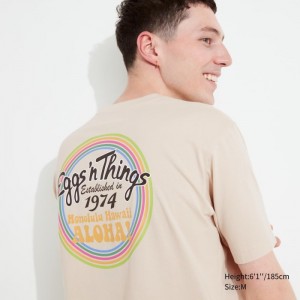 Koszulki Z Grafiką Męskie Uniqlo The Brands Hawaii UT (Short-Sleeve) (Eggs 'n Things) Natural,Uniqlo Polska | I737192