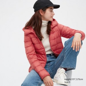 Kurtka Puchowa Damskie Uniqlo Ultra Light (2022 Edition) Pomarańczowe,Uniqlo Polska | U205685