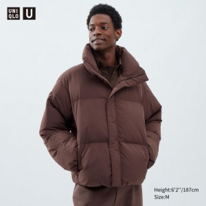 Kurtki Damskie Uniqlo Padded Volume Brązowe,Uniqlo Polska | F240380
