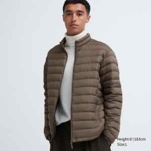 Kurtki Puchowe Męskie Uniqlo Ultra Light (Narrow Quilt) Brązowe,Uniqlo Polska | U984696