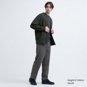Spodnie Męskie Uniqlo Flannel Easy Ankle Szare,Uniqlo Polska | G243142