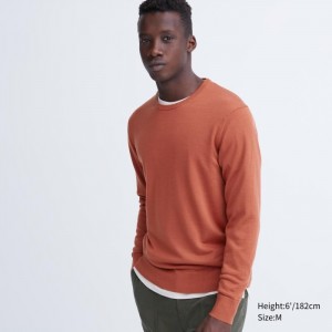 Sweter Damskie Uniqlo Extra Fine Merino Crew Neck Long-Sleeve Pomarańczowe,Uniqlo Polska | Y726460