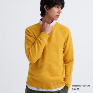 Sweter Męskie Uniqlo Premium Lambswool Crew Neck Żółte,Uniqlo Polska | H836003